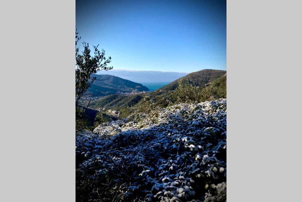 Casa Sara, Levanto, In Collina Ad Un Passo Dal Mare! Eksteriør billede